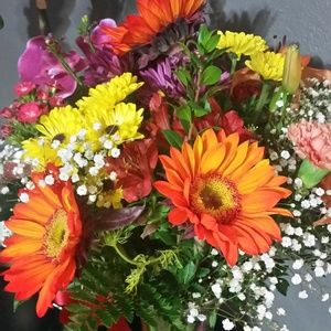 Meet your Posher, Eva